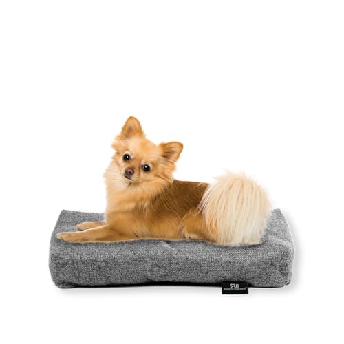 Rohrschneider Hundebett Made in EU | Hundematte mit Anti-Rutsch | strapazierfähiges Hundekissen kleine, mittelgroße & große Hunde | Katzenbett | inkl. Futternapf | Gr.1 (grau, 47 x 30 x H 7 cm) von Rohrschneider
