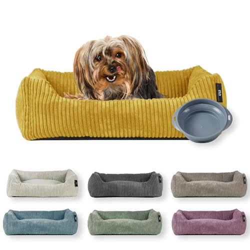 Rohrschneider Hundebett | für kleine Hunde | mit Hundekissen Cord | waschbarer Bezug | inkl. Futternapf (senf, 55 x 42 cm) von Rohrschneider
