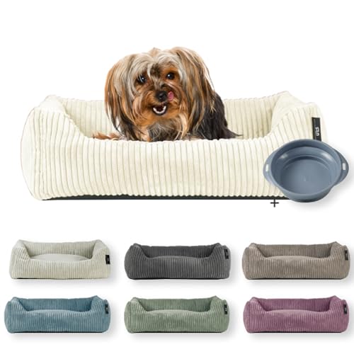 Rohrschneider Hundebett | für kleine Hunde | mit Hundekissen Cord | waschbarer Bezug | inkl. Futternapf (vanille, 55 x 42 cm) von Rohrschneider