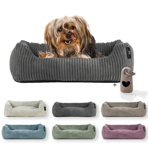 Rohrschneider Hundebett waschbar für kleine und mittelgroße Hunde mit Hundekissen Cord (ca. 55 x 42 cm) inkl. Gassibeutel (Grau 55 cm, Cordstoff breit) von Rohrschneider