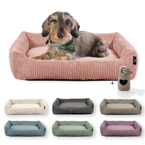 Rohrschneider Hundebett waschbar | für kleine und mittelgroße Hunde | mit Hundekissen Cord | 2 Größen (ca. 55x42 cm/ca. 70x50 cm) inkl. Gassibeutel (Powder Rosa, Cordstoff breit) von Rohrschneider