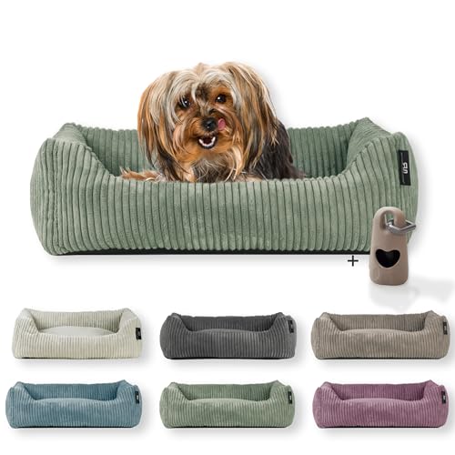 Rohrschneider Hundebett waschbar | für kleine und mittelgroße Hunde | mit Hundekissen Cord | 2 Größen (ca. 55x42 cm/ca. 70x50 cm) inkl. Gassibeutel (Salbei 55 cm, Cordstoff breit) von Rohrschneider