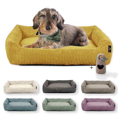 Rohrschneider Hundebett waschbar | für kleine und mittelgroße Hunde | mit Hundekissen Cord | 2 Größen (ca. 55x42 cm/ca. 70x50 cm) inkl. Gassibeutel (Senf, Cordstoff breit) von Rohrschneider