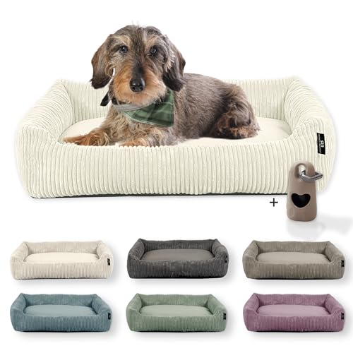 Rohrschneider Hundebett waschbar | für kleine und mittelgroße Hunde | mit Hundekissen Cord | 2 Größen (ca. 55x42 cm/ca. 70x50 cm) inkl. Gassibeutel (Vanille, Cordstoff breit) von Rohrschneider