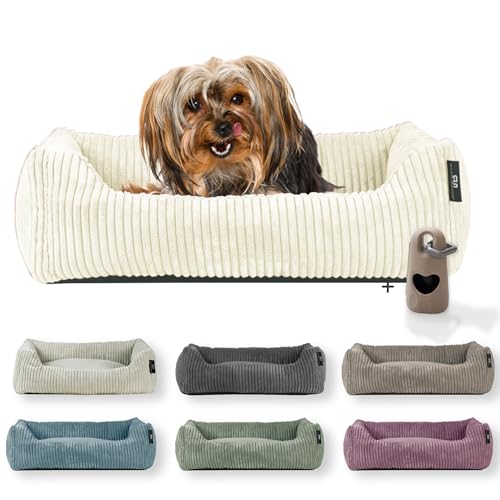 Rohrschneider Hundebett waschbar | für kleine und mittelgroße Hunde | mit Hundekissen Cord | 2 Größen (ca. 55x42 cm/ca. 70x50 cm) inkl. Gassibeutel (Vanille 55 cm, Cordstoff breit) von Rohrschneider