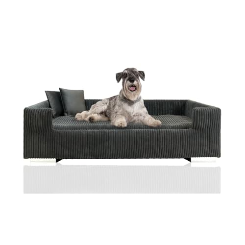 Rohrschneider Hundesofa | Hundebett aus Cord für mittelgroße und Grosse Hunde, hoher Rand, waschbar, Cordstoff aus 100% Polyester | Dunkelgrau | B90 x T57 x H26 cm | inkl. 2 x Dekokissen Rohrschneider Hundesofa | Hundebett aus Cord für mittelgroße und Grosse Hunde, hoher Rand, waschbar, Cordstoff aus 100% Polyester | Dunkelgrau | B90 x T57 x H26 cm | inkl. 2 x Dekokissen von Rohrschneider