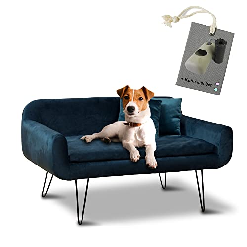Rohrschneider Deluxe Hundesofa San Diego in Petrol, Samtbezug & Stabiles Holzgestell, Hundecouch inkl. Hundekotbeutel von Rohrschneider