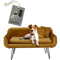 Rohrschneider Hundesofa Hundecouch "San Diego" Samt Rohrschneider Hundesofa Hundecouch "San Diego" Samt von Rohrschneider