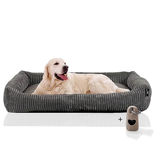 Rohrschneider Hundesofa für Große Hunde | Cord Hundebett XXL | Erhöhtes Dog Bed | Pflegeleichtes Hundekissen 120x80 cm | Kuscheliges Hundekörbchen | Geschenke für Hundeliebhaber von Rohrschneider