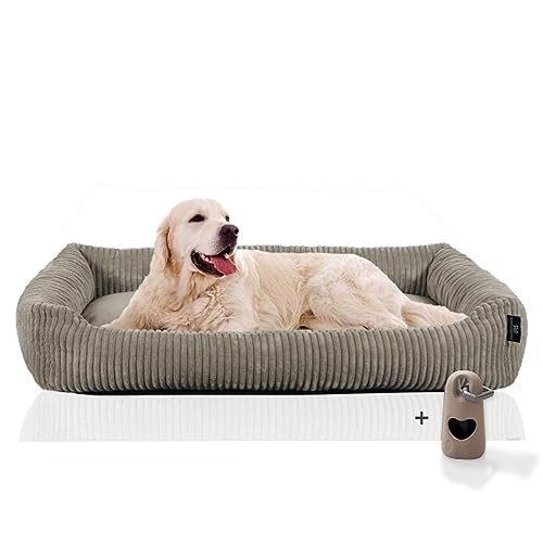 Rohrschneider Hundesofa große Hunde | Cord Hundebett groß | Dog Bed XXL | Weiches Hundebett erhöht | Pflegeleichtes Hundekörbchen mit Hundekissen 120x80 cm | kuschelig | Geschenke Hundeliebhaber Rohrschneider Hundesofa große Hunde | Cord Hundebett groß | Dog Bed XXL | Weiches Hundebett erhöht | Pflegeleichtes Hundekörbchen mit Hundekissen 120x80 cm | kuschelig | Geschenke Hundeliebhaber von Rohrschneider