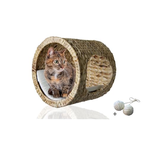 Rohrschneider Katzenhöhle Wandmontage | Wandhöhle Katze mit Schlafhöhle und Hochsitz | Regal Katze als Wandbett für Katzen | Katzenmöbel Wandmontage Wandelemente | Katzen Wandliege als Katzenbett Rohrschneider Katzenhöhle Wandmontage | Wandhöhle Katze mit Schlafhöhle und Hochsitz | Regal Katze als Wandbett für Katzen | Katzenmöbel Wandmontage Wandelemente | Katzen Wandliege als Katzenbett von Rohrschneider