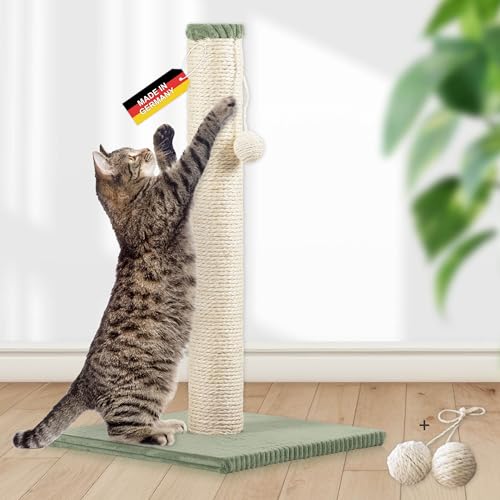 Rohrschneider Kratzbaum klein Kratzsäule mit Spielkugel zur Selbstbeschäftigung | Bodenplatte mit trendigem Cordüberzug | Sisalstärke: 6 mm | Gr. 1 (Höhe 64 cm) | Salbei von Rohrschneider