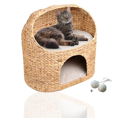 Rohrschneider Premium Katzenhöhle aus Wasserhyazinthe | Kuschelhöhle für Katzen mit waschbaren Kissen | Katzenhaus, Katzenkorb zum Schlafen | Katzensofa modern | Katzenbett hoch | Möbel für Katzen Rohrschneider Premium Katzenhöhle aus Wasserhyazinthe | Kuschelhöhle für Katzen mit waschbaren Kissen | Katzenhaus, Katzenkorb zum Schlafen | Katzensofa modern | Katzenbett hoch | Möbel für Katzen von Rohrschneider