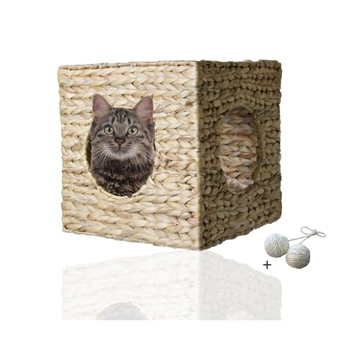 Rohrschneider eckige Katzenhöhle Wandmontage | Wandregal Katze mit Liegeplatz | Katzenhaus aus Wasserhyazinth |Katzenhöhle für Wandmontage| Katzenhaus für Wand als gemütlicher Rückzugsort Rohrschneider eckige Katzenhöhle Wandmontage | Wandregal Katze mit Liegeplatz | Katzenhaus aus Wasserhyazinth |Katzenhöhle für Wandmontage| Katzenhaus für Wand als gemütlicher Rückzugsort von Rohrschneider