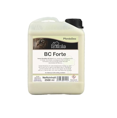 Rokale BremsenClean (BC Forte) 2,5 ltr. von Rokale