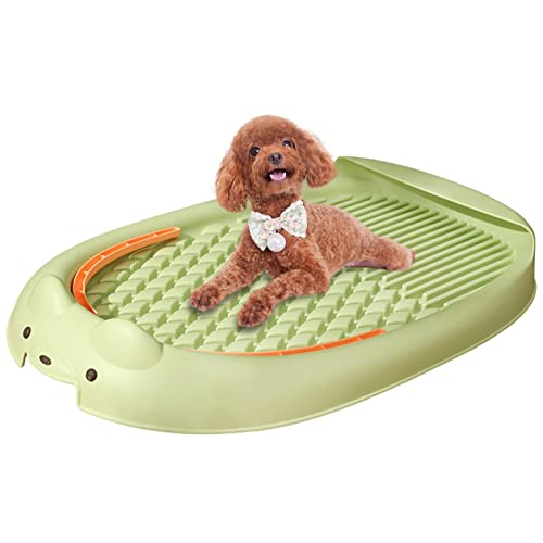 2 Pcs Haustiertoilette | Tragbares Indoor-Töpfchen für Hunde,Hundezubehör Doppelschichtige PP-Konstruktion Wee Training Puppy Pinkelbox Grid Design für Zwinger Käfige Hundegehege Rolempon von Rolempon