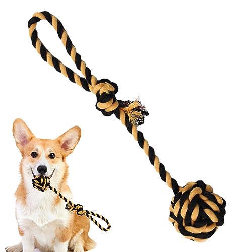 Rolempon Hundeseil | Seilspielzeug für Aggressive Kauer | Seilspielzeug für kleine Hunde, unzerstörbares Seil aus natürlicher Baumwolle, Tauziehen-Hundezugseil, Hundekauspielzeug, Robustes von Rolempon