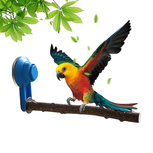 Sittichbarsch | Papageienständer, natürlicher Pfefferholz-Vogelständer - Papageien-Ständerspielzeug mit Saugnapf für Aras, kleine Sittiche, Sittiche, Wellensittiche, Finken Rolempon von Rolempon