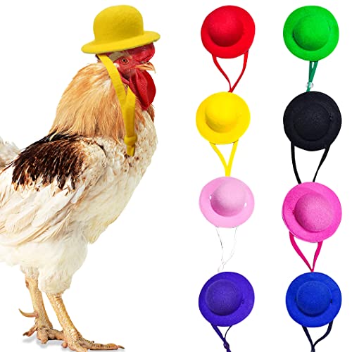 Rolin Roly 8PCS HühnerhelmVogelhut Kopfbedeckung Chicken Hats Hühnerhut Runder Kleiner Hut Mehrfarbiger Kleiner Haustierhut für Küken Vögel Schutzhelm (8Pcs Hats) von Rolin Roly