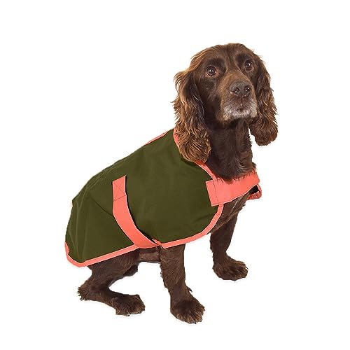 ROMNEYS Hundemantel Safety | Regenmantel für Hunde | Orangenes Signalband für bessere Sichtbarkeit (XS) von Romneys