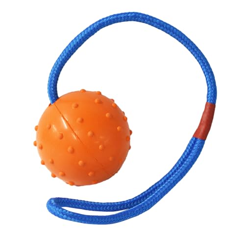 Robuster Apportierball am Seil für Hunde – 7cm Durchmesser | Langes Nylonseil zum weit werfen | Ideal für Training & Spiel | Orange von Romneys