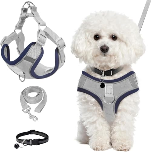 Rongchenghao Reflektierender, atmungsaktiver Brustgurt mit Halsband und Kordelzug, geeignet für kleine Hunde und Katzen für Outdoor-Training und Spazierengehen, Haustierbedarf (Grau, L) von Rongchenghao