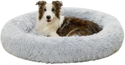 Rongchenghao Weiches rundes Plüsch-Hundebett – bequemes Donut-Hundebett für Hunde und Katzen, Grau, 60 cm Rongchenghao Weiches rundes Plüsch-Hundebett – bequemes Donut-Hundebett für Hunde und Katzen, Grau, 60 cm von Rongchenghao