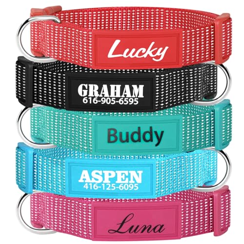 Verstellbares, reflektierendes Hundehalsband, atmungsaktives Nylon, Haustierhalsband mit robuster Metallschnalle, D-Ring und Anhängerschlaufe, passend für alle Hunderassen, Größen XS bis L Verstellbares, reflektierendes Hundehalsband, atmungsaktives Nylon, Haustierhalsband mit robuster Metallschnalle, D-Ring und Anhängerschlaufe, passend für alle Hunderassen, Größen XS bis L von Ronglin Custom