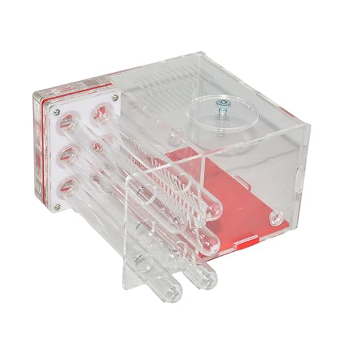 Ronyme Ameisenkäfig DIY Lernen Klar Lernspielzeug Lebensraum Werkstatt für Wohnzimmer Kindertag Zuhause, 1.5 cm Ronyme Ameisenkäfig DIY Lernen Klar Lernspielzeug Lebensraum Werkstatt für Wohnzimmer Kindertag Zuhause, 1.5 cm von Ronyme