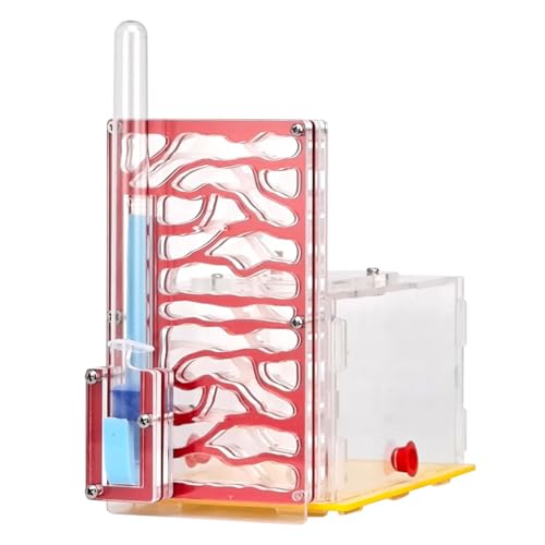 Ronyme Gehäuse Nest Display Box Farm Lebensraum für Wissenschaft Beobachtung Geschenk Kindertag, Rot von Ronyme