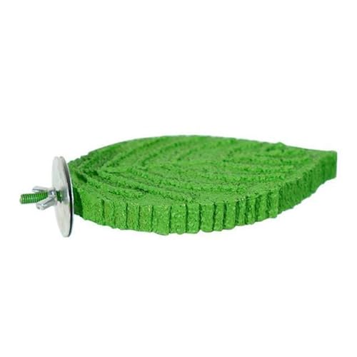 Ronyme Papagei Barsch Pfote Schleifen Barsch Stehen Schleifen Stehen für Vögel Station Pole, GrÜn Ronyme Papagei Barsch Pfote Schleifen Barsch Stehen Schleifen Stehen für Vögel Station Pole, GrÜn von Ronyme