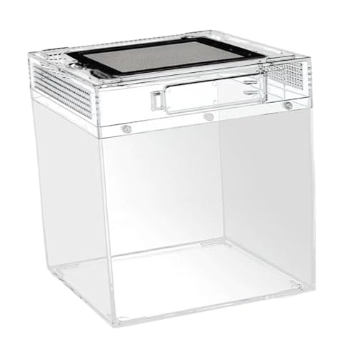 Ronyme Reptilien-Terrarium, Zuchtbox, transparenter Behälter, Reptilientank für Skorpione, Hornfrösche, Schildkröten, Eidechsen, Tausendfüßler, 20cmx20cmx28cm Ronyme Reptilien-Terrarium, Zuchtbox, transparenter Behälter, Reptilientank für Skorpione, Hornfrösche, Schildkröten, Eidechsen, Tausendfüßler, 20cmx20cmx28cm von Ronyme