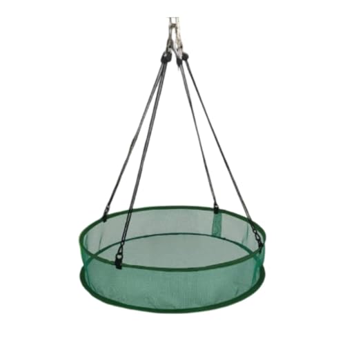 Ronyme Vogelfutter-Fangschale, Gartenzubehör, universeller Vogelfutter-Reifen, Reifen für Landwirte, Vögel, Liebhaber, Outdoor, Zuhause, GrÜn Ronyme Vogelfutter-Fangschale, Gartenzubehör, universeller Vogelfutter-Reifen, Reifen für Landwirte, Vögel, Liebhaber, Outdoor, Zuhause, GrÜn von Ronyme