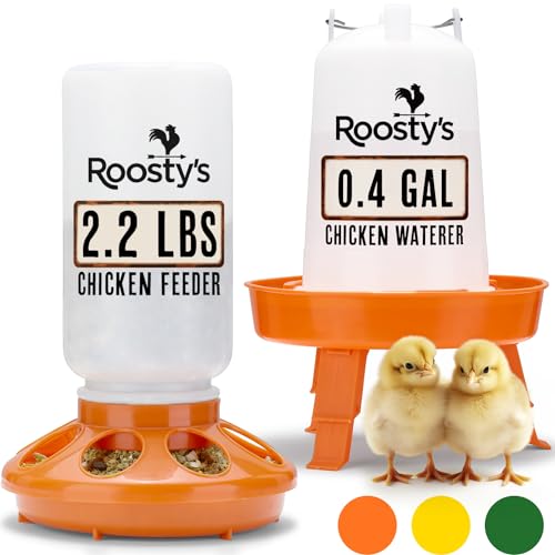 Roosty's Küken-Futterspender und Bewässerungsset – 1 l Küken-Futterspender und 1.5 l Küken-Bewässerung, Wachtelfutterspender, Starter-Kit Baby Hühner-Futterspender und Bewässerungs-Set von Roosty's
