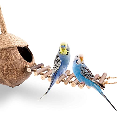 RoseFlower Vögel Papageienspielzeug ，Hängendes Kokosnuss-Vogelhaus für Hamster, Vogelkäfig-Zubehör, Haustiervogelbedarf (2 Stück) von RoseFlower