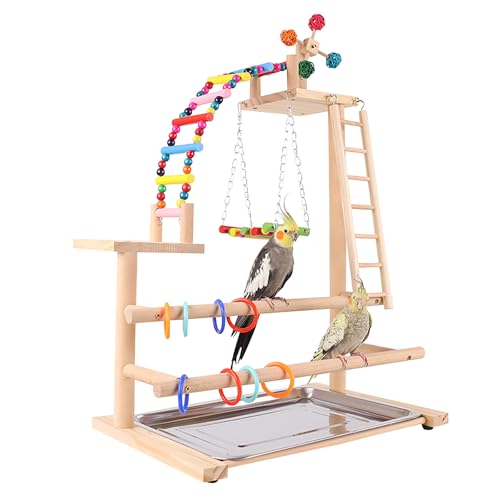 RoseFlower Vogelspielplatz Papagei Spielständer, Vogelsitzstangen Ständer für Sittiche, Wellensittiche, Nymphensittiche, Lovebirds, Vogelkäfigzubehör mit Schaukel, Vogelleiter, Futterbecher, Tablett RoseFlower Vogelspielplatz Papagei Spielständer, Vogelsitzstangen Ständer für Sittiche, Wellensittiche, Nymphensittiche, Lovebirds, Vogelkäfigzubehör mit Schaukel, Vogelleiter, Futterbecher, Tablett von RoseFlower