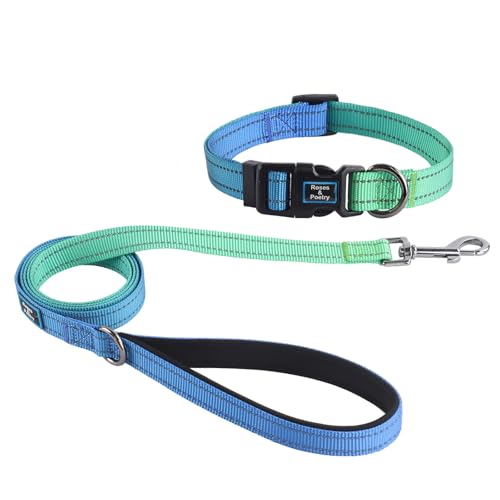 Roses&Poetry Bluegreen Hundehalsband und Leine, Set für kleine Hunde, reflektierende Leinen mit Halsbändern, verstellbar, langlebig, passende Halsband für kleine Hunde und Mädchen (Blaugrün, XS) Roses&Poetry Bluegreen Hundehalsband und Leine, Set für kleine Hunde, reflektierende Leinen mit Halsbändern, verstellbar, langlebig, passende Halsband für kleine Hunde und Mädchen (Blaugrün, XS) von Roses&Poetry