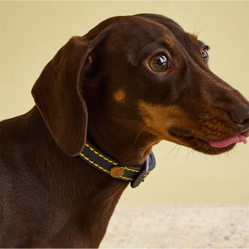Rosewood Joules Hundehalsband, Leder, Marineblau Rosewood Joules Hundehalsband, Leder, Marineblau von Joules