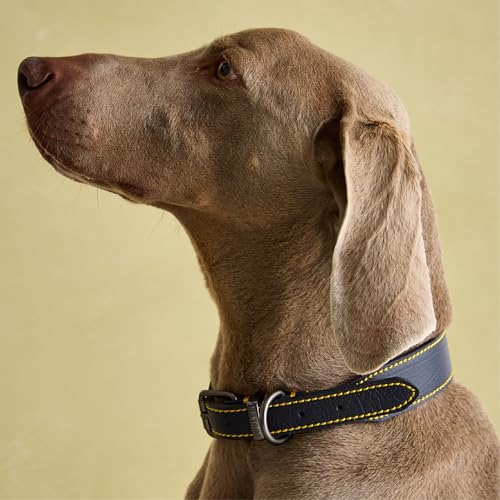 Rosewood Joules Hundehalsband, Leder, Marineblau, Größe M von Joules