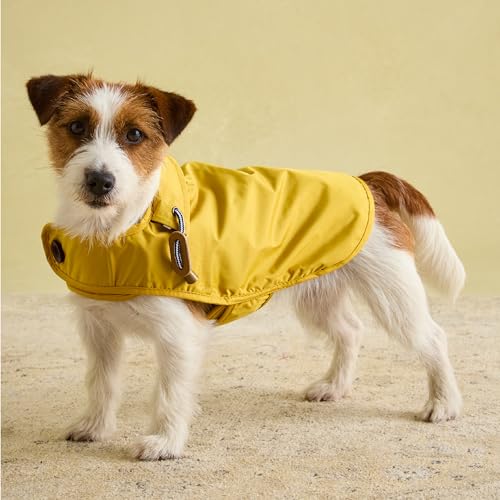 Rosewood Joules Regenmantel für Hunde, Antik-Gold, Größe S Rosewood Joules Regenmantel für Hunde, Antik-Gold, Größe S von Rosewood