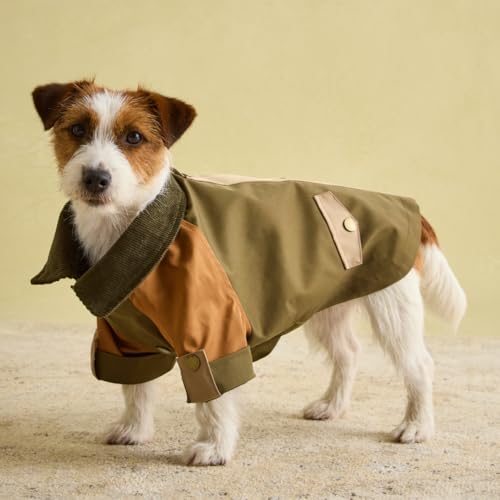 Rosewood x Joules Kennington Mantel für Hunde, klein, waschbar, leichte Jacke, wasserabweisender Hundemantel für kleine Hunde Rosewood x Joules Kennington Mantel für Hunde, klein, waschbar, leichte Jacke, wasserabweisender Hundemantel für kleine Hunde von Rosewood