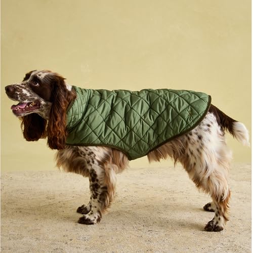 Rosewood x Joules Khaki Steppmantel für Hunde, groß, waschbar, leicht, warme Winterhundejacke für große Hunde Rosewood x Joules Khaki Steppmantel für Hunde, groß, waschbar, leicht, warme Winterhundejacke für große Hunde von Rosewood