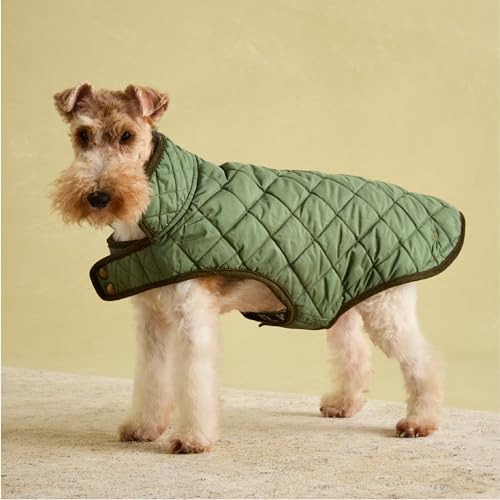 Rosewood x Joules Khaki Steppmantel für Hunde, mittelgroß, waschbar, leicht, warme Winterhundejacke für mittelgroße Hunde Rosewood x Joules Khaki Steppmantel für Hunde, mittelgroß, waschbar, leicht, warme Winterhundejacke für mittelgroße Hunde von Rosewood