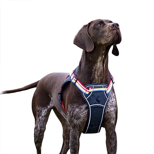 Rosewood x Joules Hundegeschirr, reflektierend, klein, Regenbogenfarben Rosewood x Joules Hundegeschirr, reflektierend, klein, Regenbogenfarben von Rosewood Joules