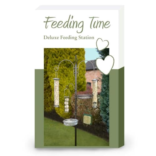 Feeding Time Deluxe Wild Bird Feeding Station von Rosewood