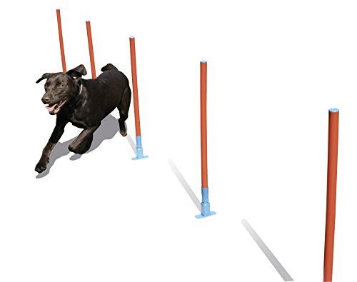 Rosewood 02490 Agility-Slalomstangen für Hunde von Rosewood
