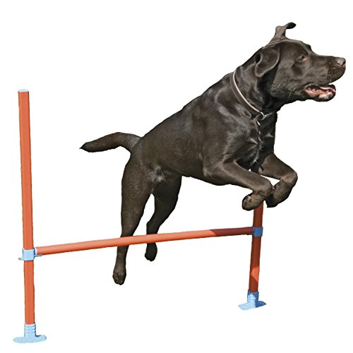 Rosewood 02491 Agility-Hürde für Hunde Rosewood 02491 Agility-Hürde für Hunde von Rosewood