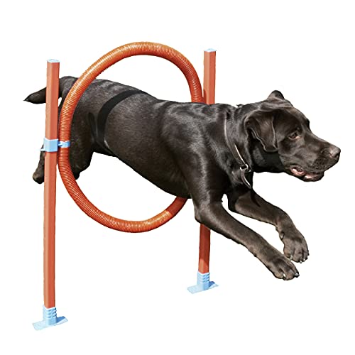 Rosewood 02492 Agility-Sprungreifen für Hunde Rosewood 02492 Agility-Sprungreifen für Hunde von Rosewood