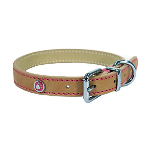 Rosewood 04000 Leder-Hundehalsband für Halsumfang von 25.4-35.6 cm, Hellbraun von Rosewood