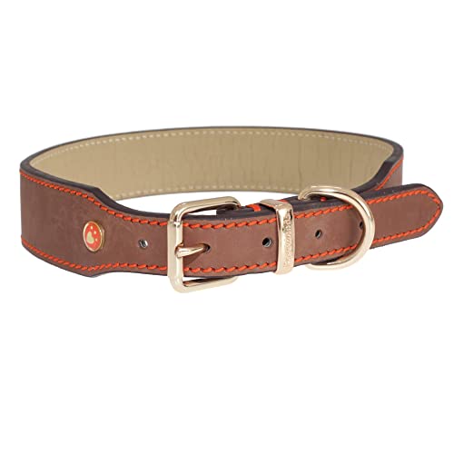 Rosewood 57174 Tastybone Mighty Spielzeug für Große Hunde Rosewood 57174 Tastybone Mighty Spielzeug für Große Hunde von Rosewood